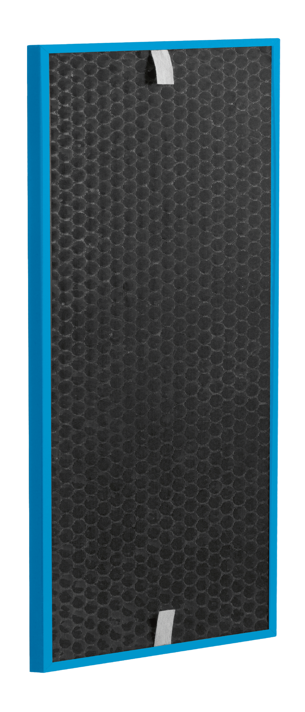 FILTER CARBON CAPTUR BOOST XD7160E0 voor Intense Pure Air