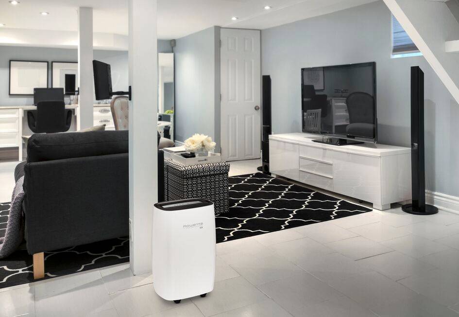 Intense Dry Compact DH4236 Luchtontvochtiger