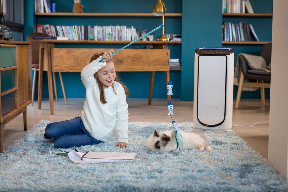 Intense Pure Air Connect PU6080 Luchtreiniger