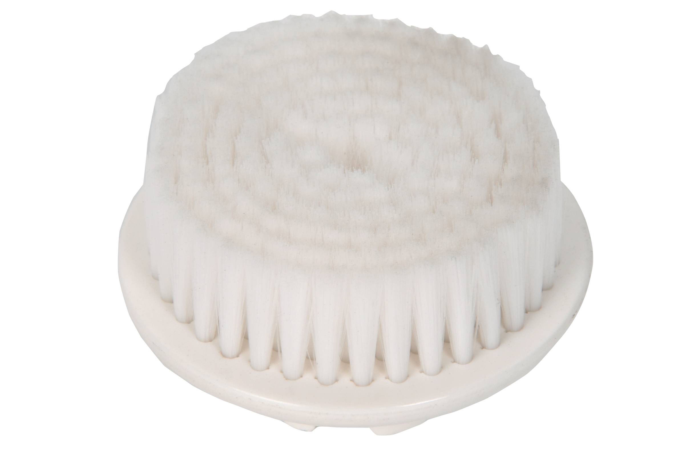 Purifying brush CS-10000844
